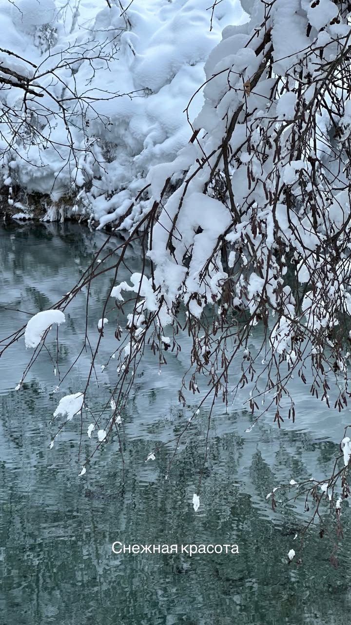 новая фото в сторис @svpogodina 26.01.2026