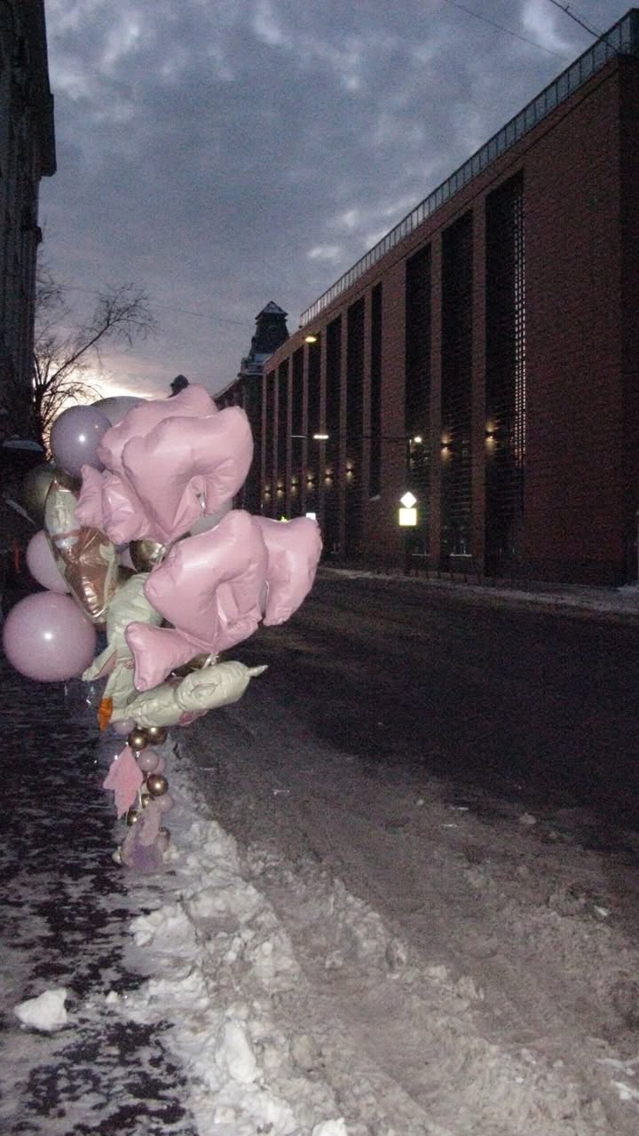 новая фото в сторис @aksenova_ann 26.01.2026