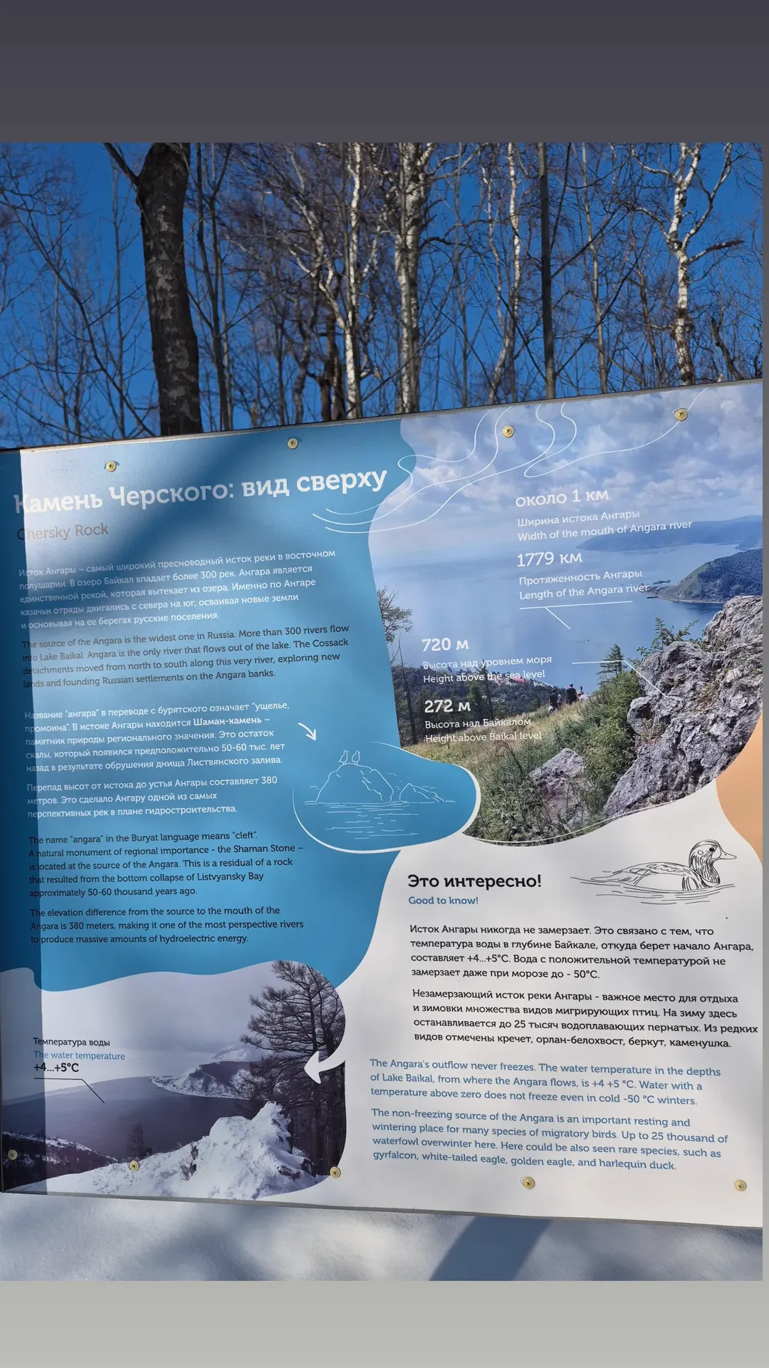 новая фото в сторис @nadya_yankova 29.01.2026