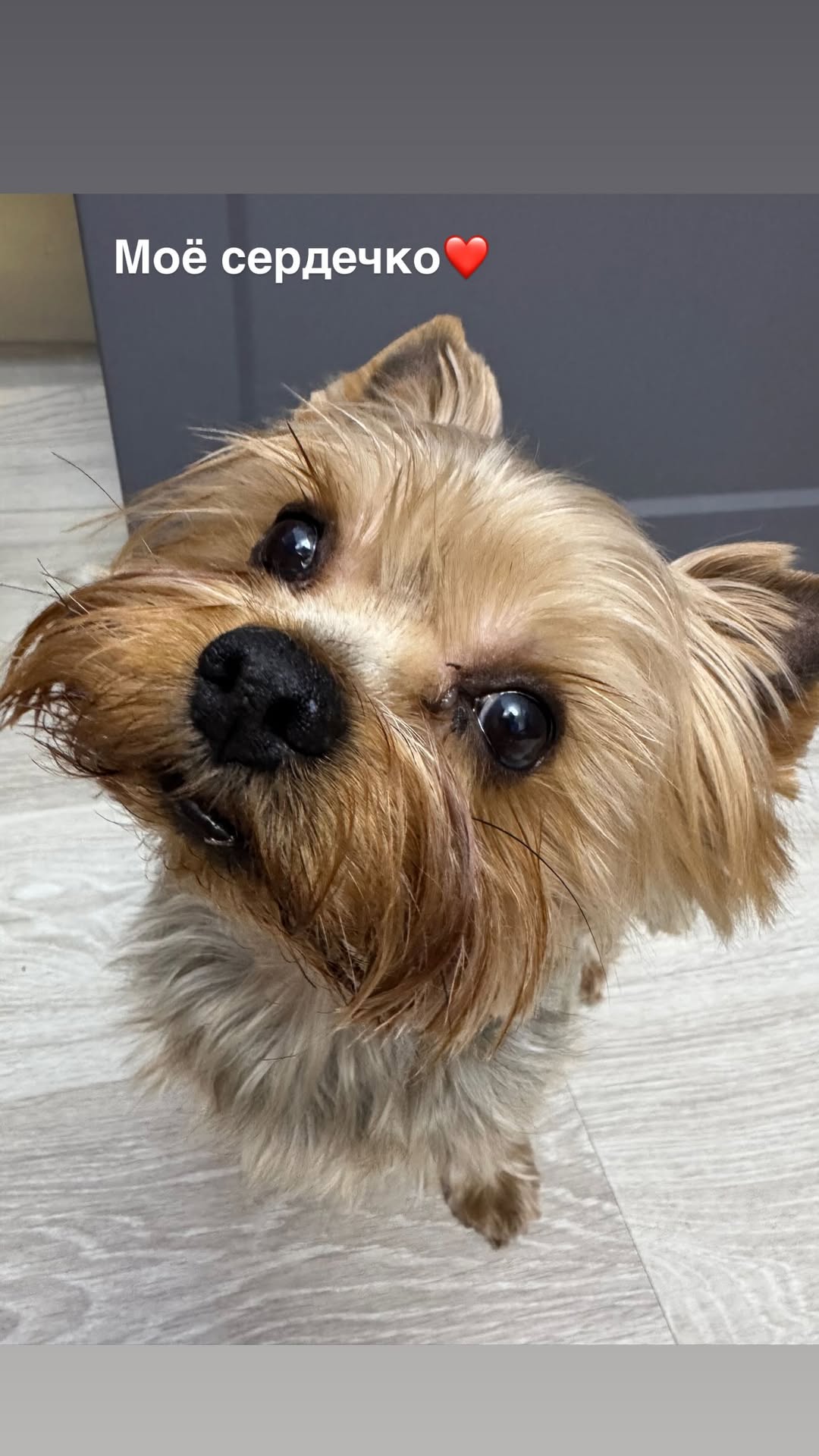 новая фото в сторис @ekaterina._173 29.01.2026