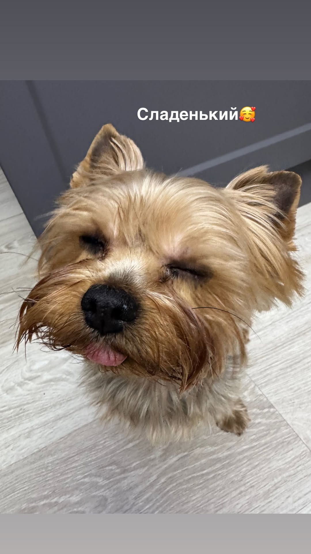 новая фото в сторис @ekaterina._173 29.01.2026