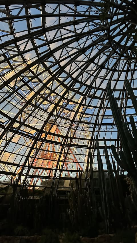 новая фото в сторис @_olikfitness_ 31.01.2026