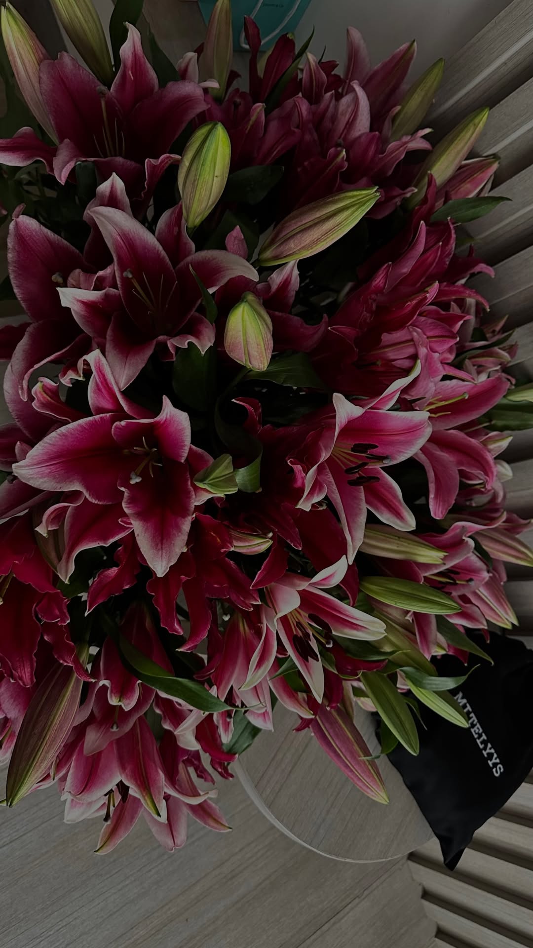 новая фото в сторис @_olikfitness_ 31.01.2026