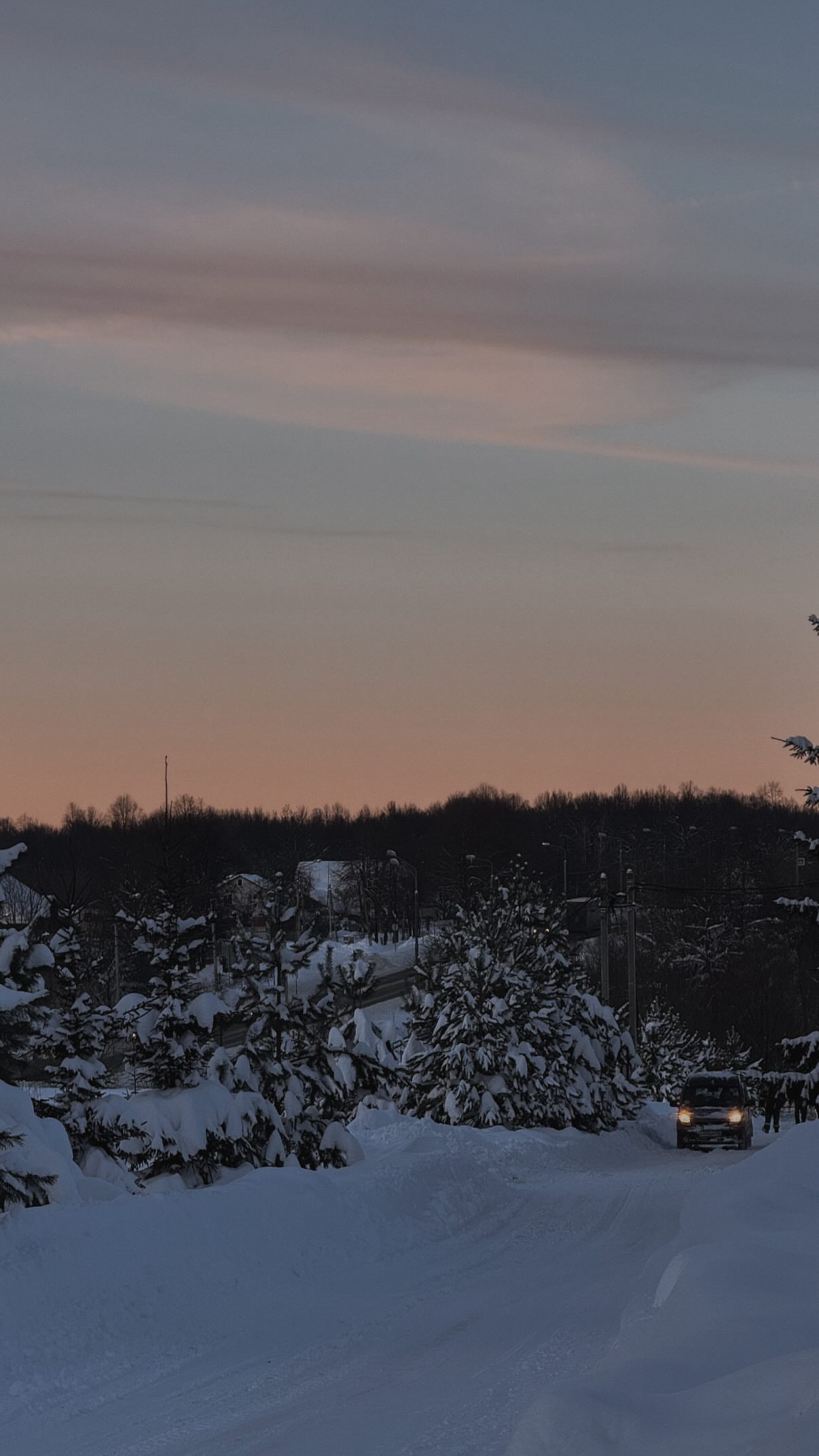 новая фото в сторис @nikoleeeeeeeta 31.01.2026