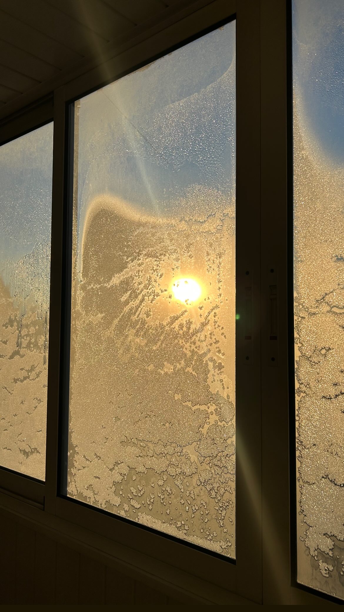 новая фото в сторис @youllbemary 31.01.2026