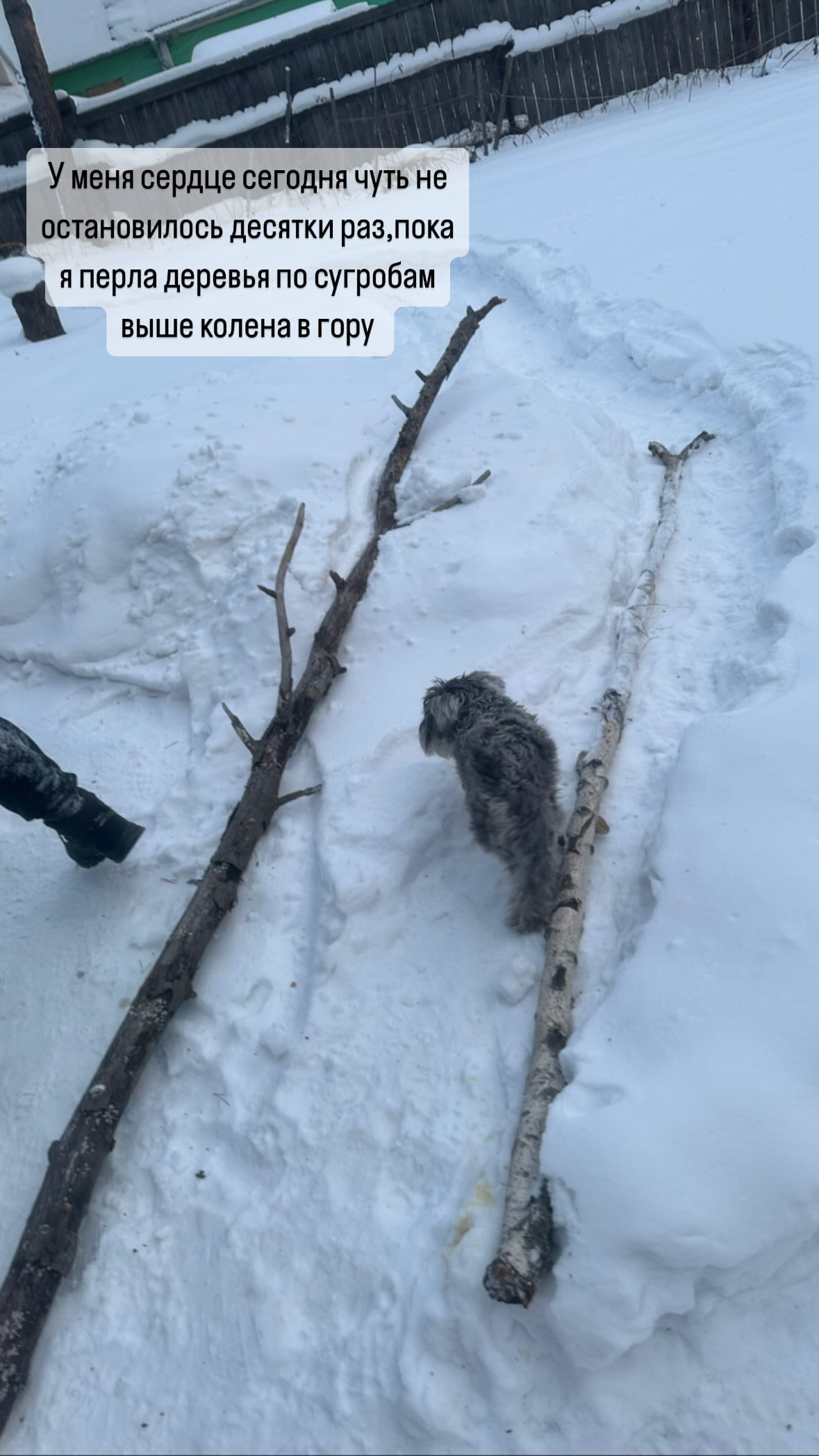 новая фото в сторис @vazuli 31.01.2026