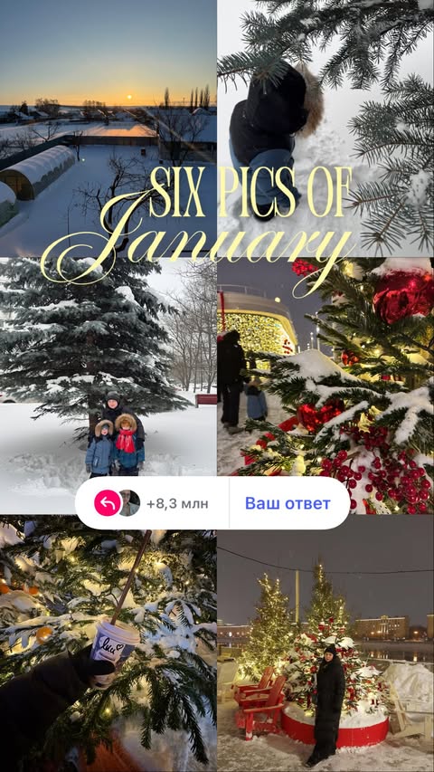 новая фото в сторис @pryanicchek_ 01.02.2026