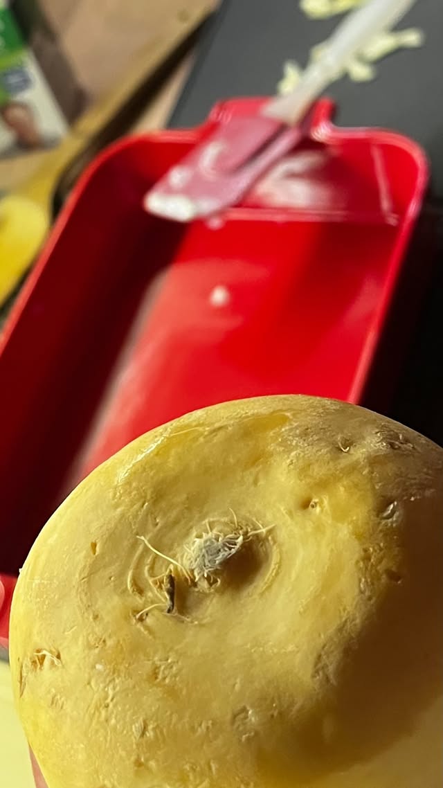 новая фото в сторис @polinaglukhova 01.02.2026