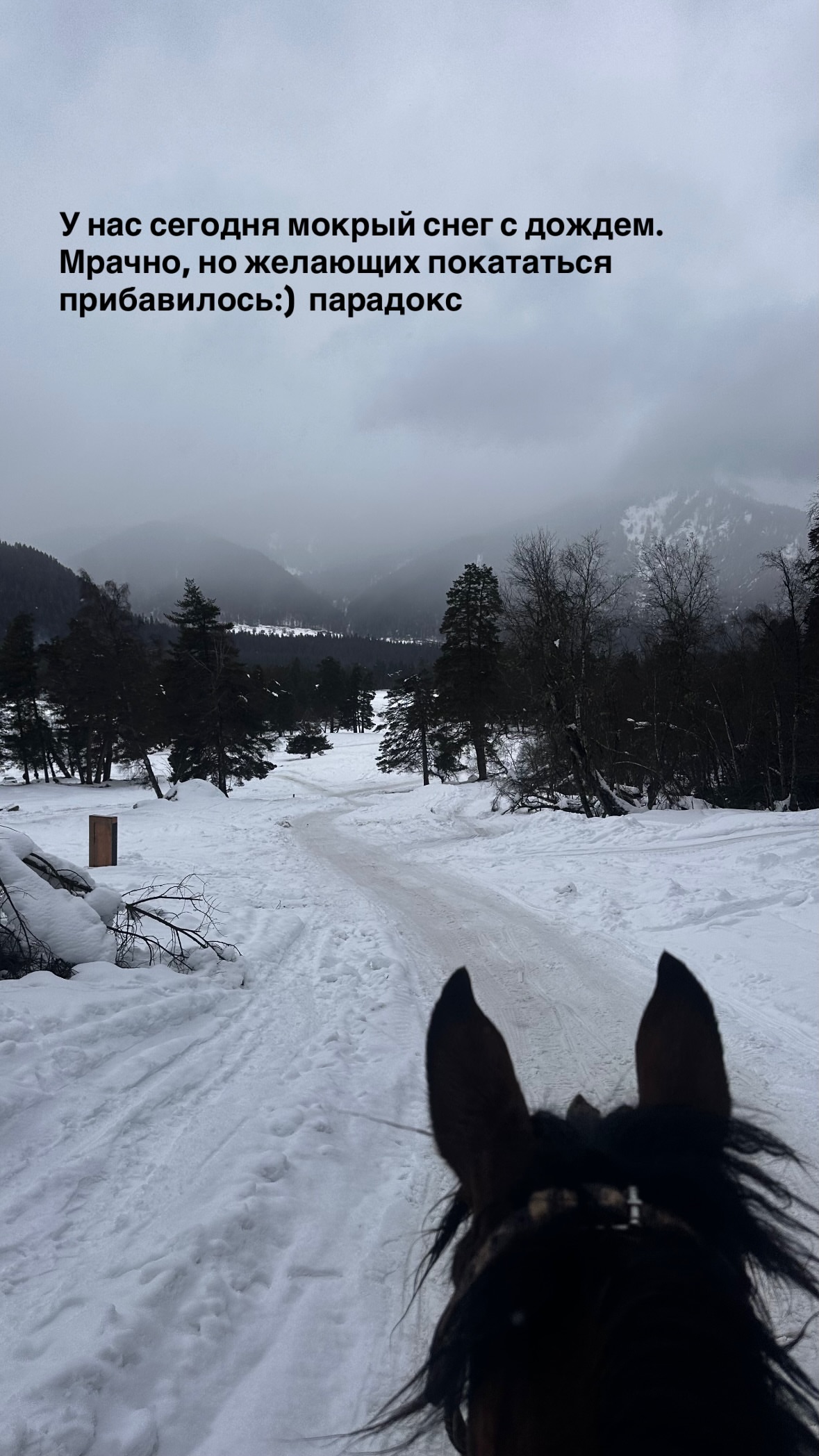 новая фото в сторис @svpogodina 01.02.2026