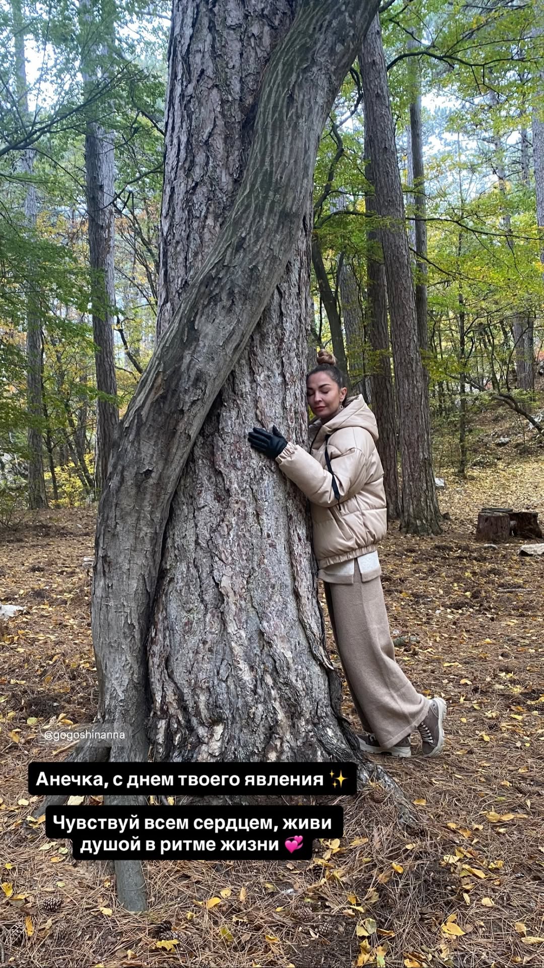 новая фото в сторис @gogoshinanna 01.02.2026