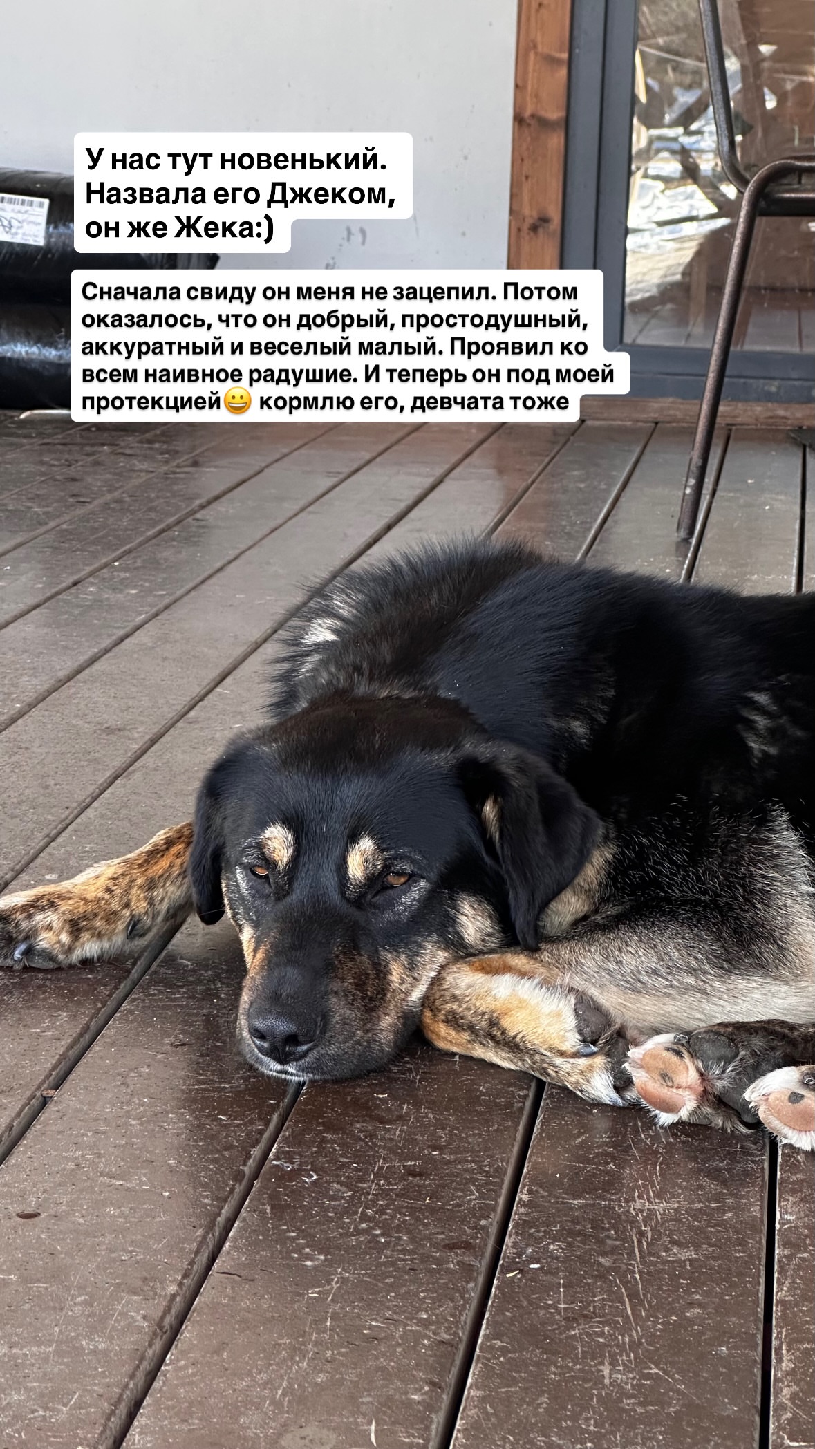 новая фото в сторис @svpogodina 01.02.2026