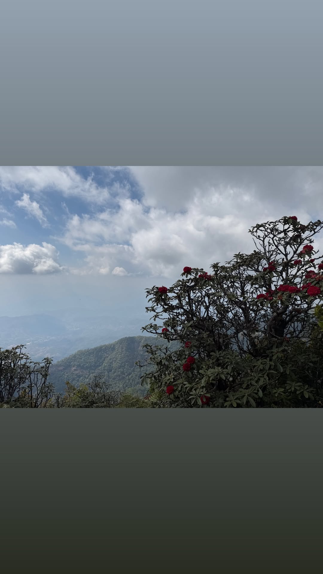 новая фото в сторис @raffshagy 02.02.2026