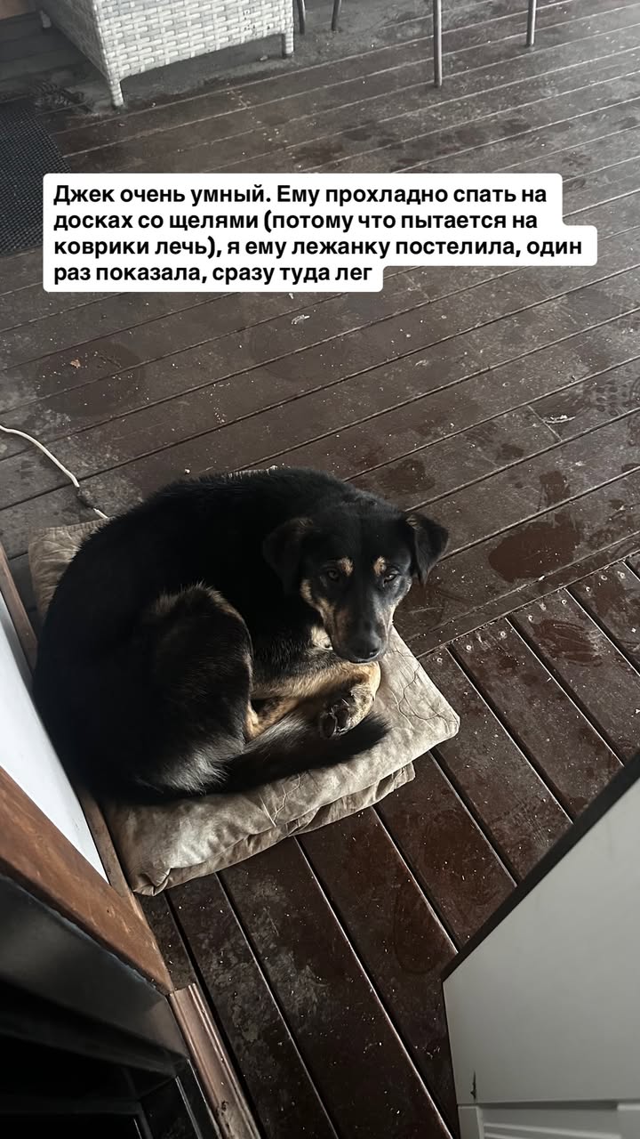 новая фото в сторис @svpogodina 03.02.2026