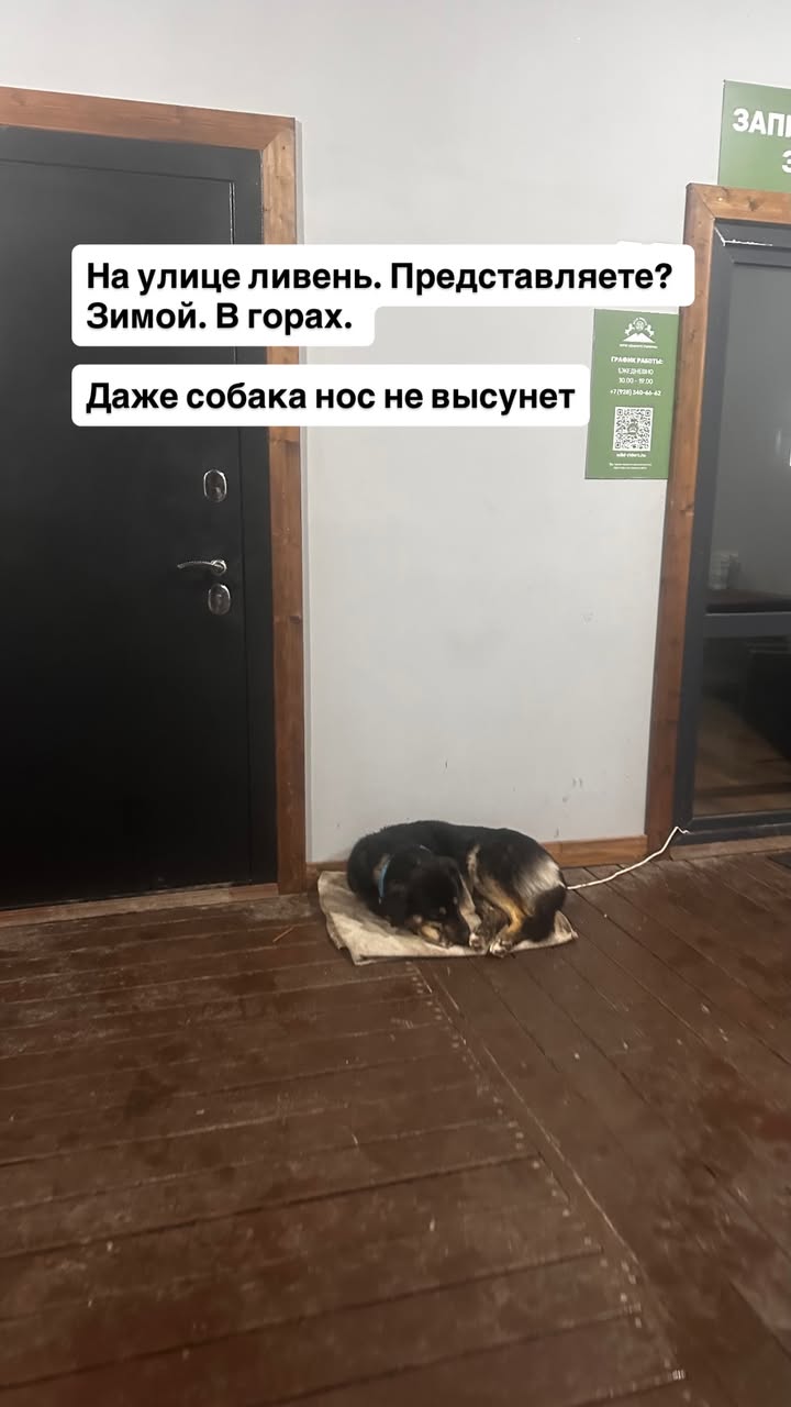 новая фото в сторис @svpogodina 03.02.2026