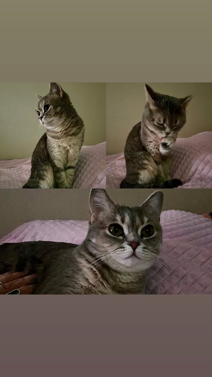 новая фото в сторис @lerabog96 03.02.2026