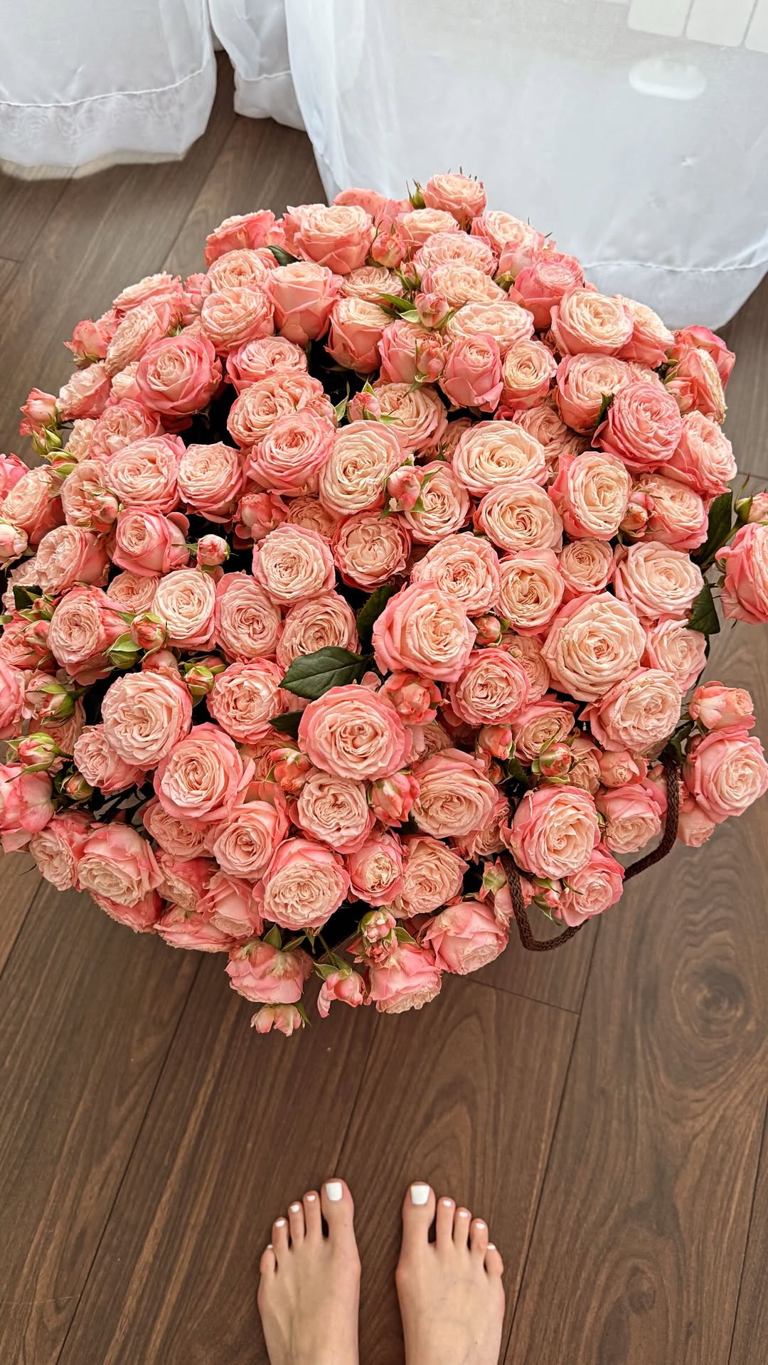 новая фото в сторис @d.dmntv 03.02.2026