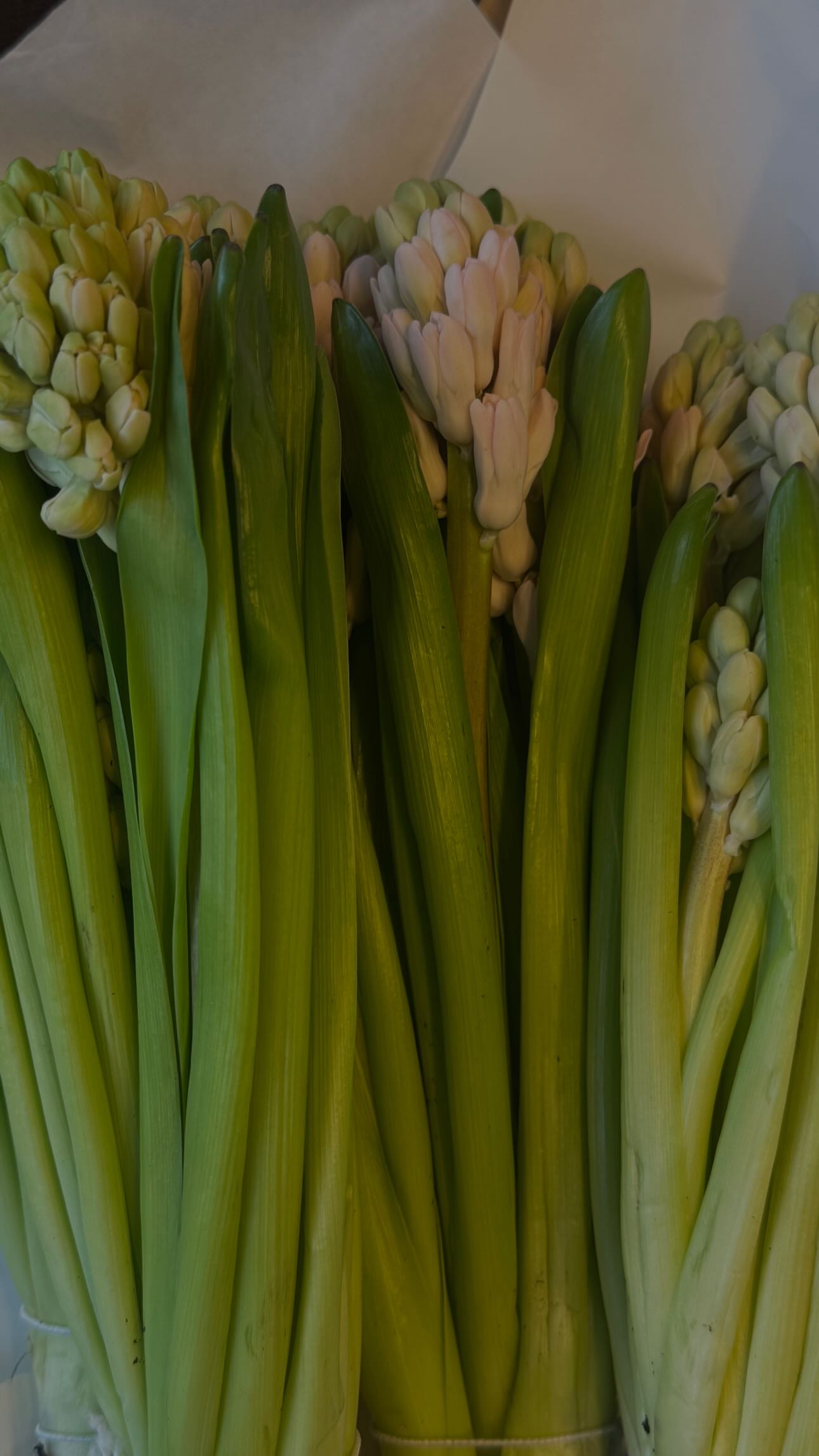новая фото в сторис @alexandrabobrova_ 03.02.2026