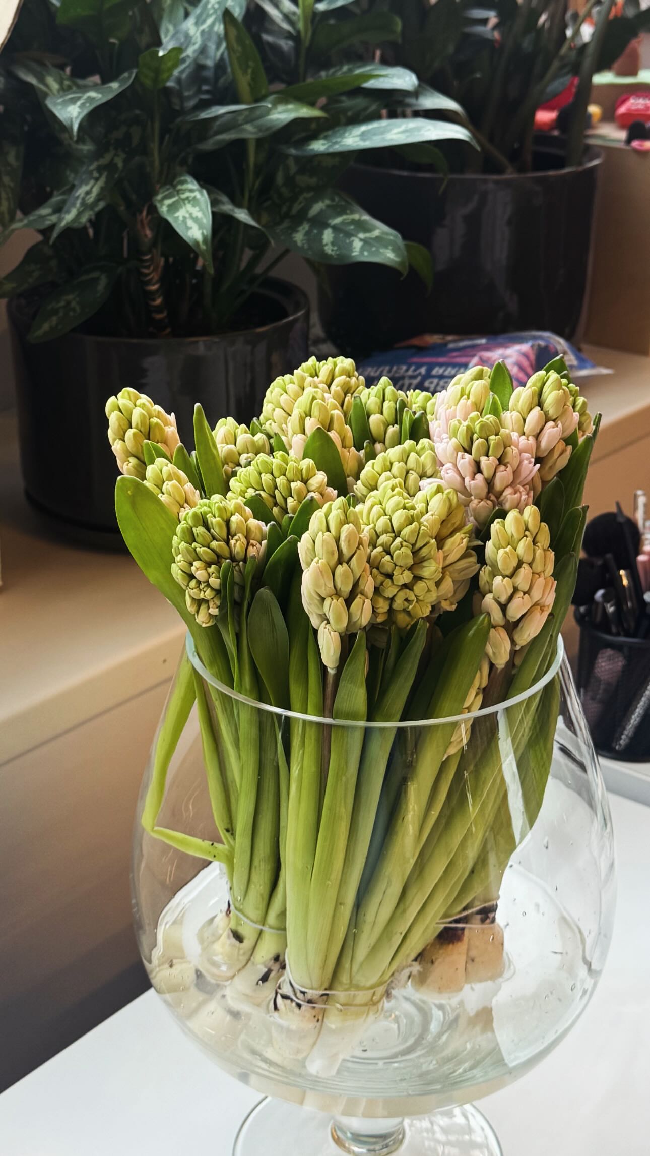 новая фото в сторис @alexandrabobrova_ 03.02.2026