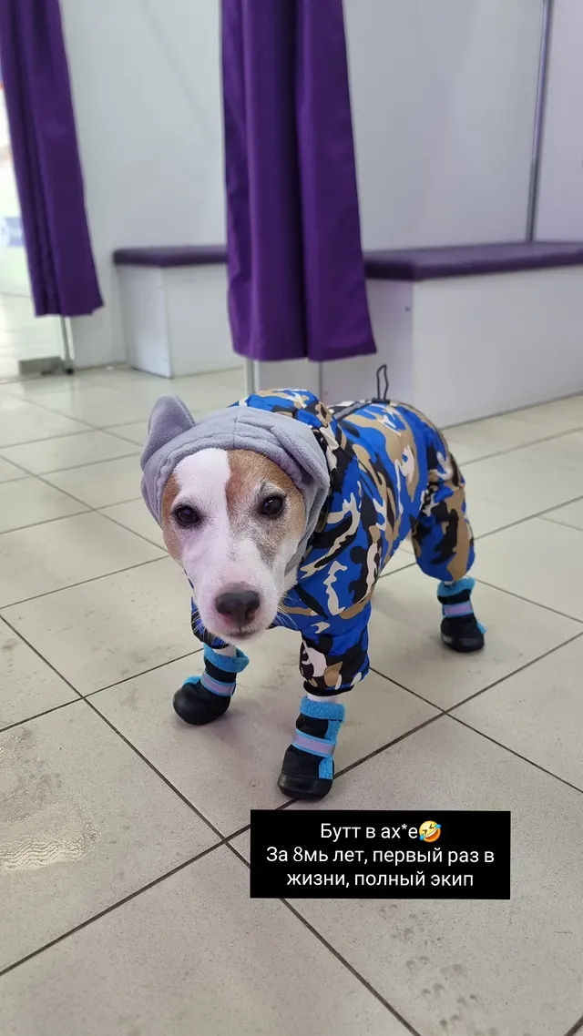 новая фото в сторис @vitaliya_nov1kova 03.02.2026