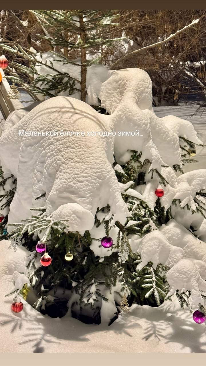 новая фото в сторис @alyonamai 03.02.2026