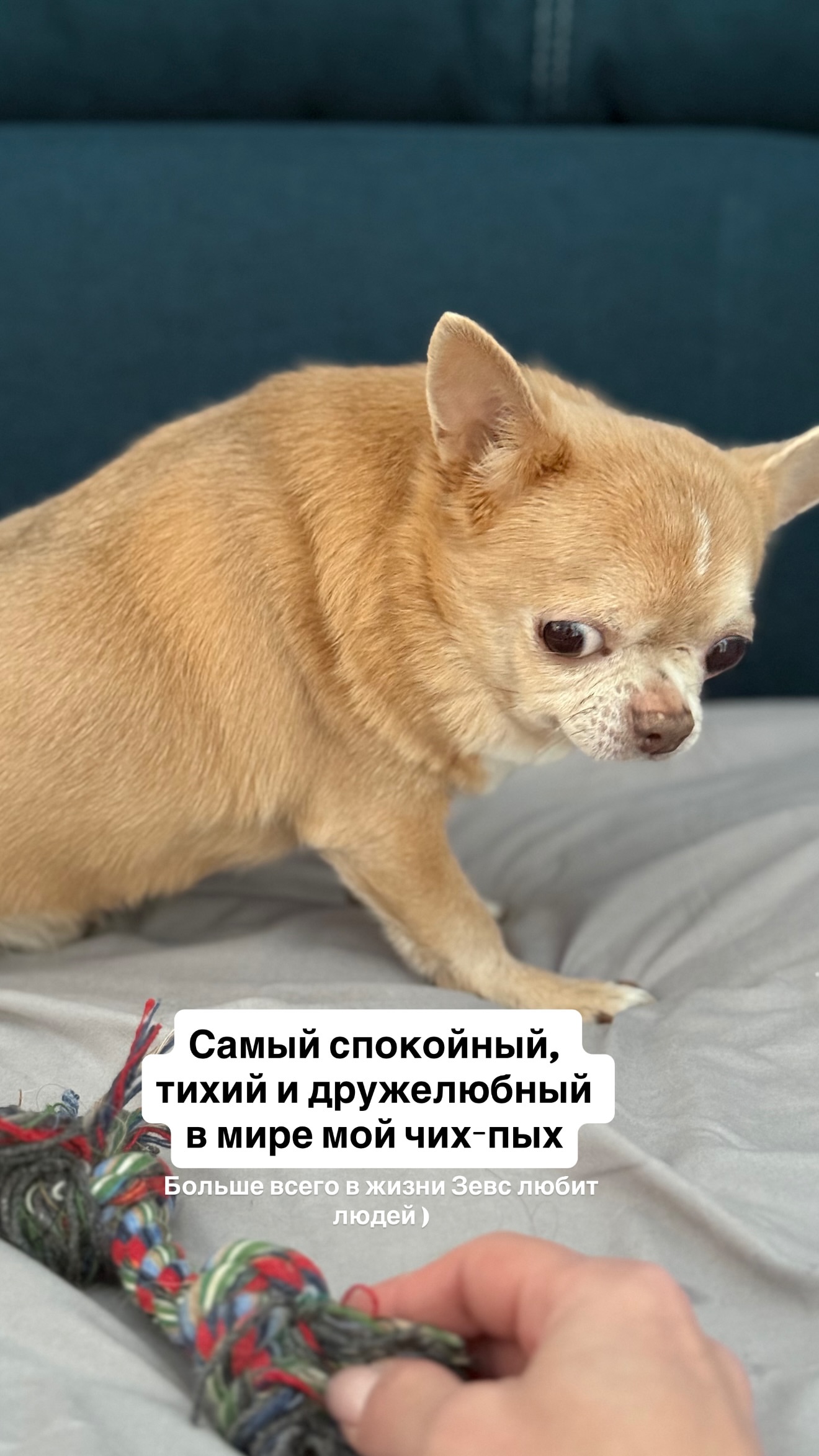 новая фото в сторис @vlada_uvarova 04.02.2026