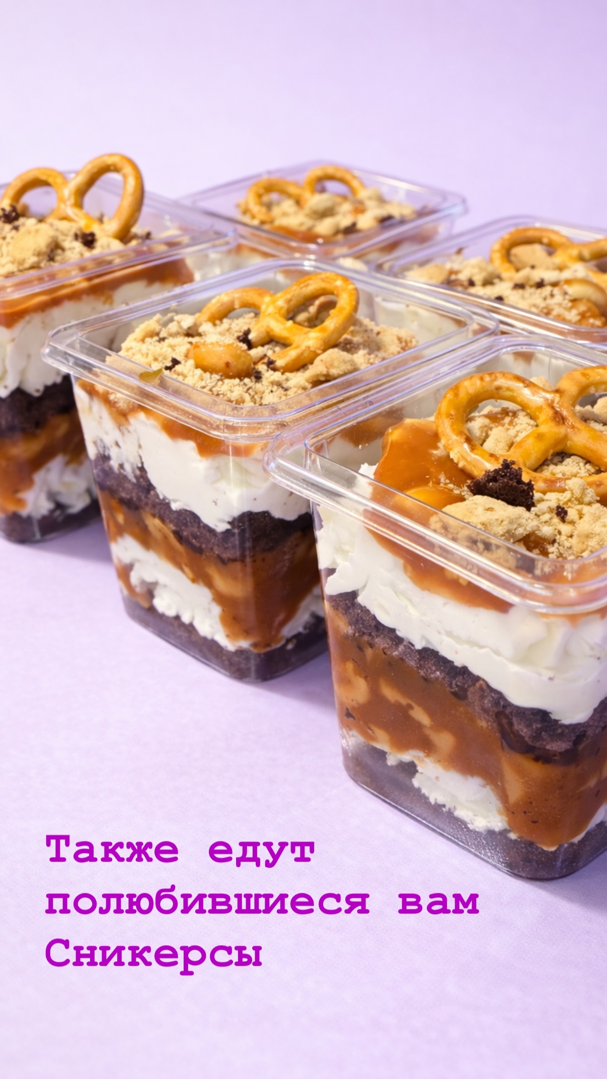 новая фото в сторис @naturetort 04.02.2026