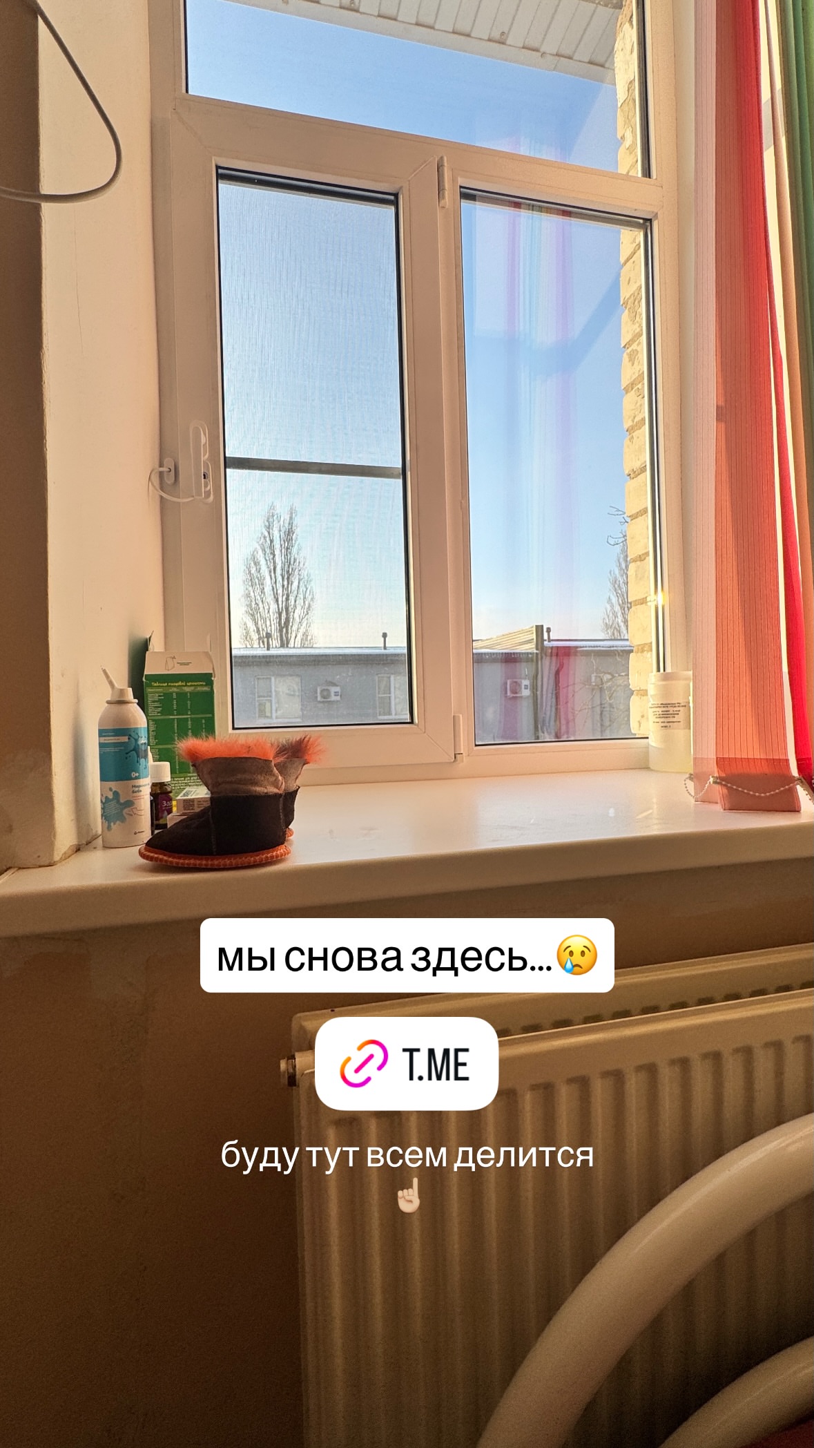 новая фото в сторис @y.valieva_ 05.02.2026