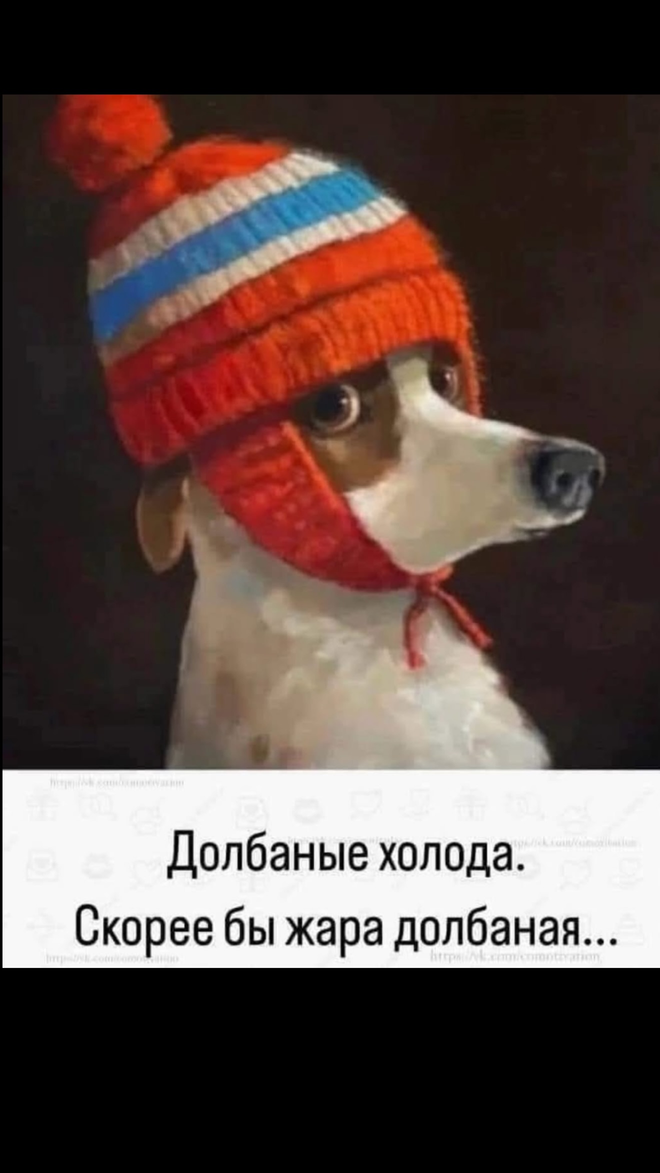 новая фото в сторис @borodylia 05.02.2026