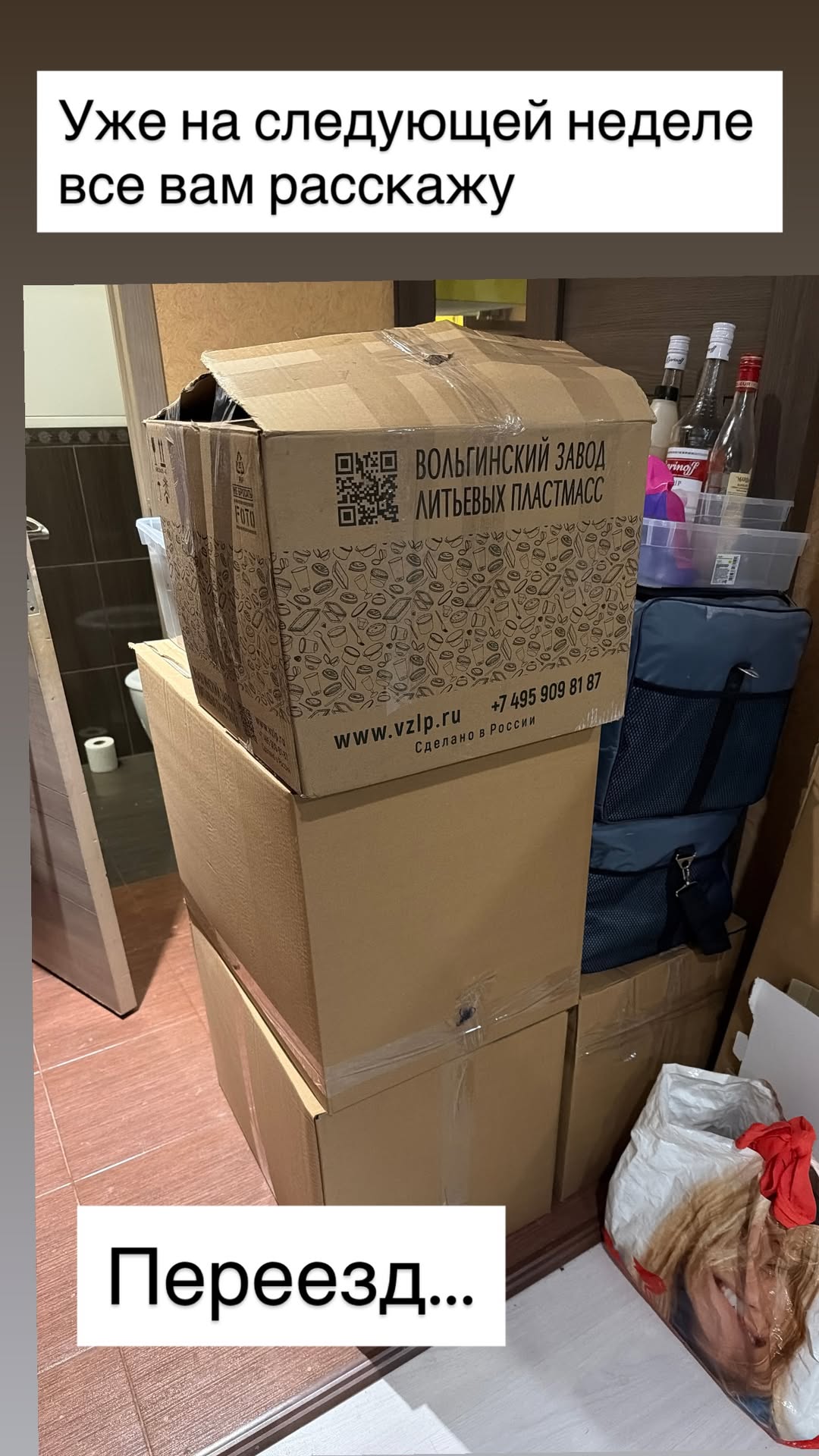 новая фото в сторис @naturetort 04.02.2026