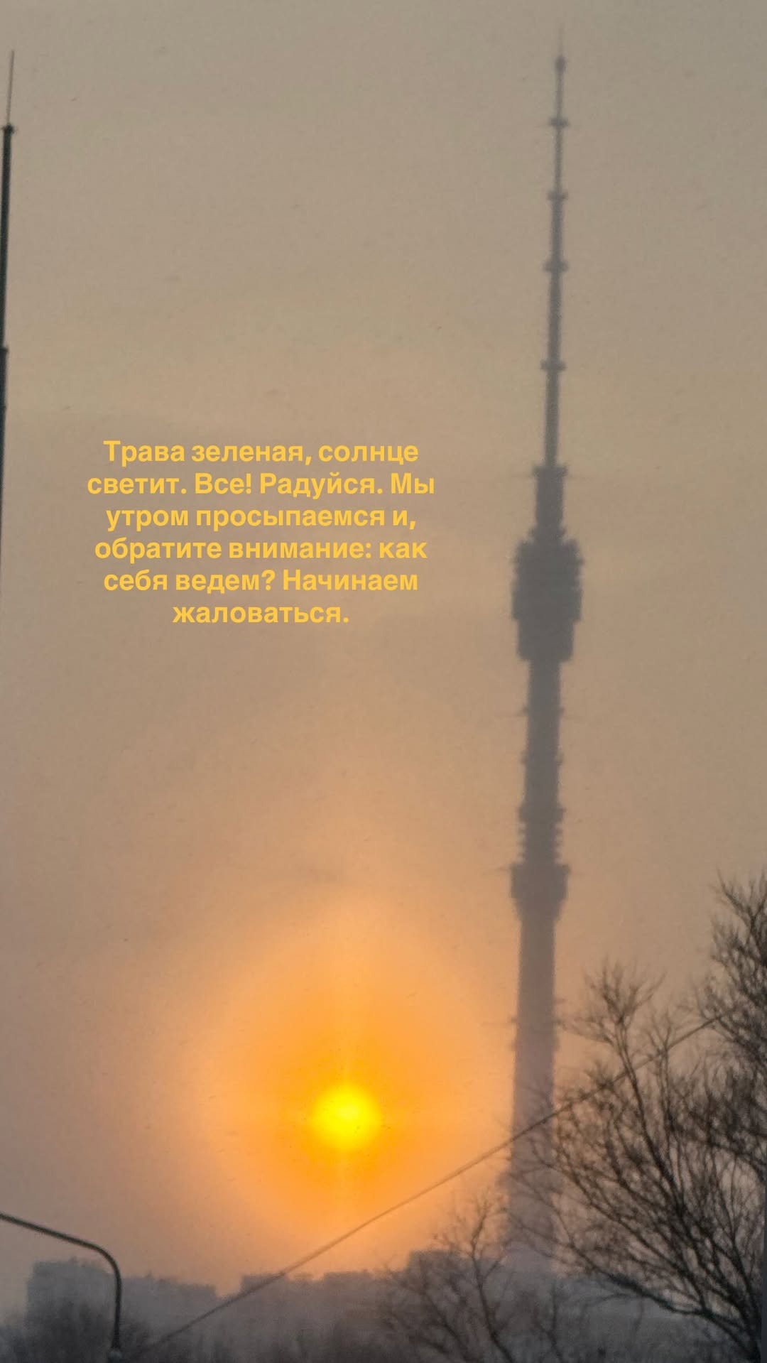 новая фото в сторис @eta_nalog 05.02.2026