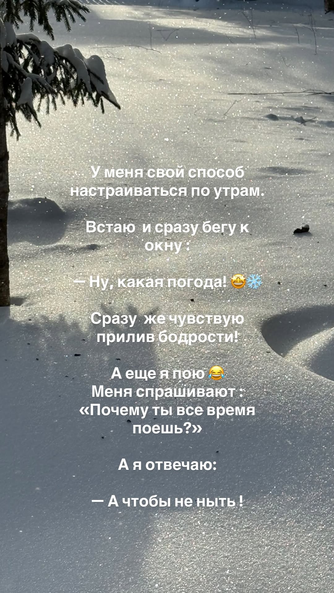 новая фото в сторис @eta_nalog 05.02.2026