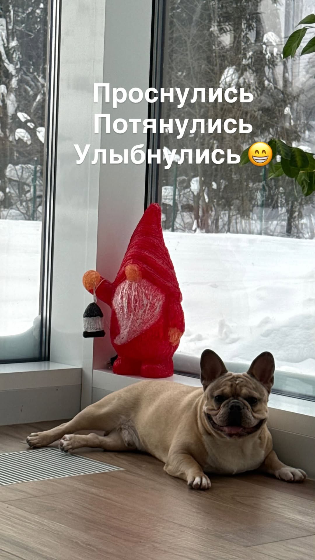 новая фото в сторис @eta_nalog 05.02.2026