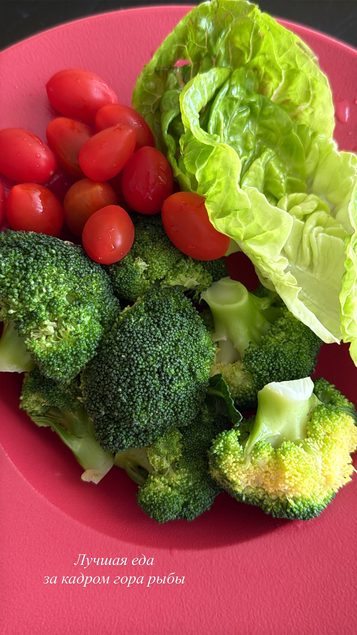 новая фото в сторис @freakberry 06.02.2026