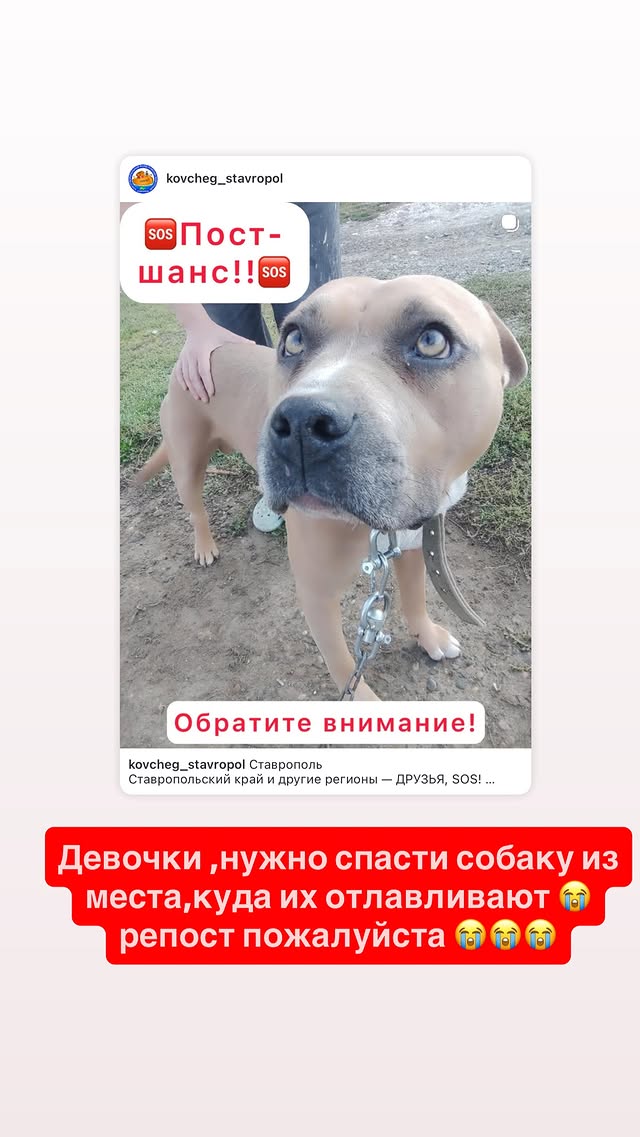 новая фото в сторис @rudenko_hairdresser 06.02.2026