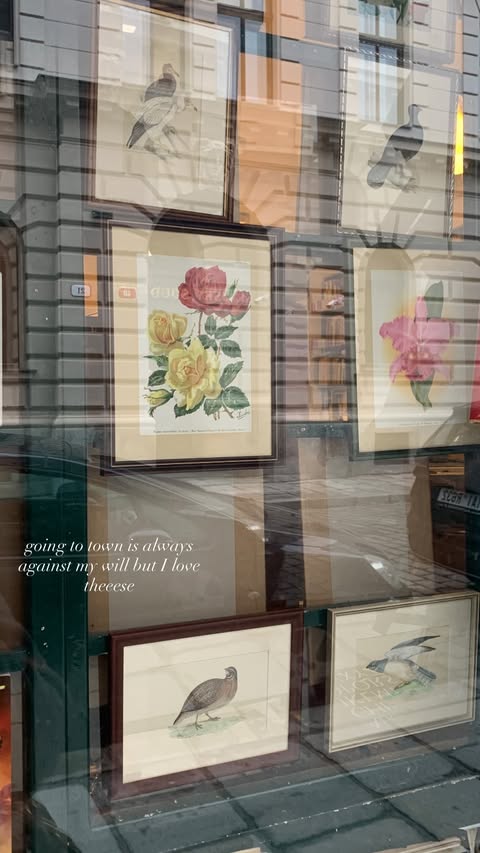 новая фото в сторис @everlinet 07.02.2026