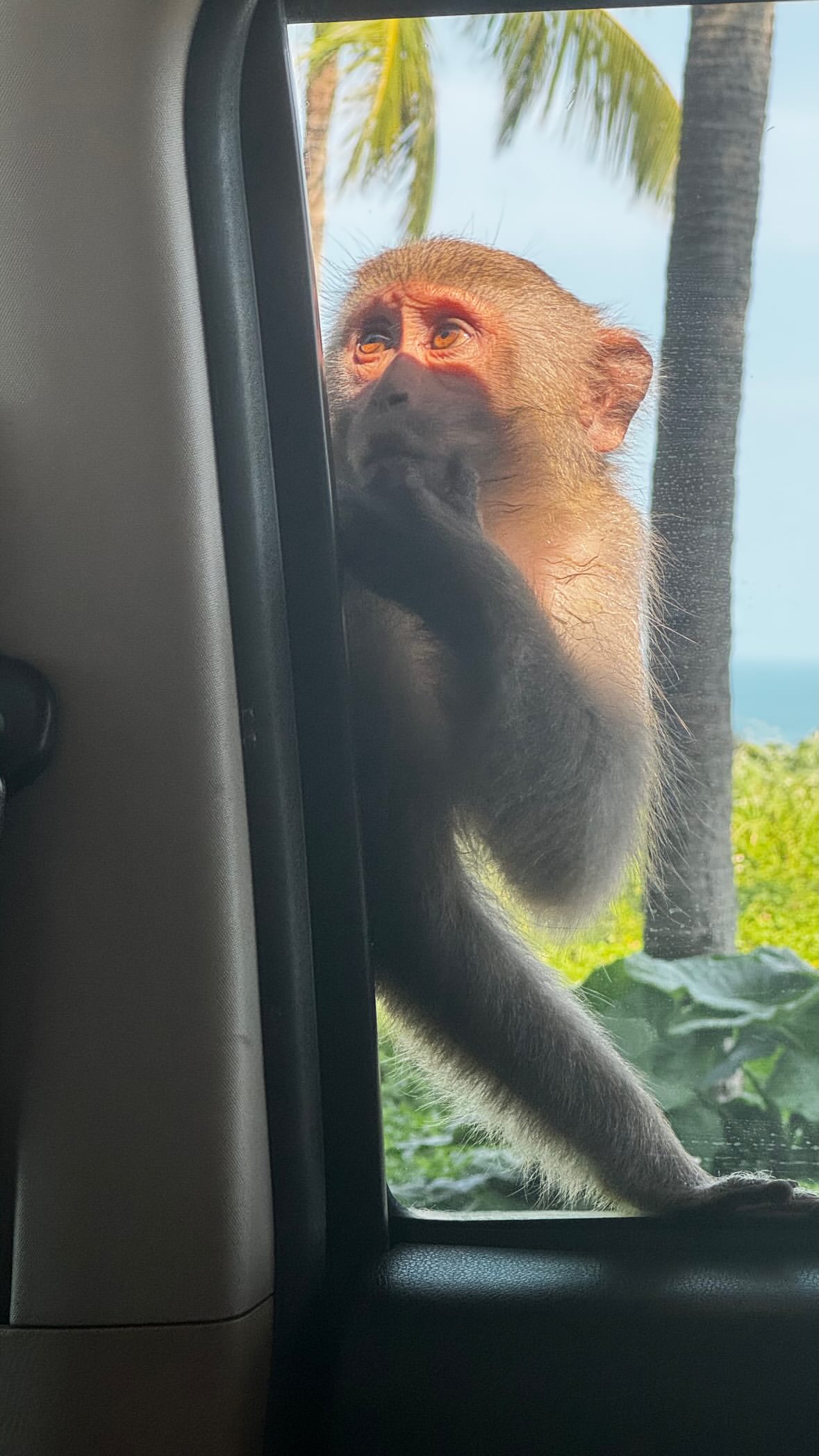 новая фото в сторис @an_pril 08.02.2026
