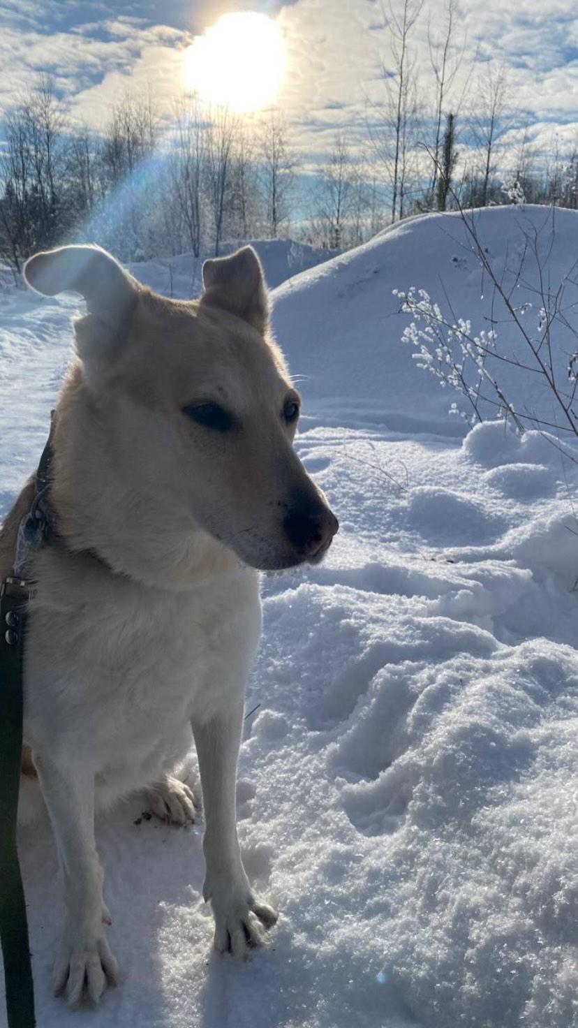 новая фото в сторис @alexander_babinchuk 07.02.2026