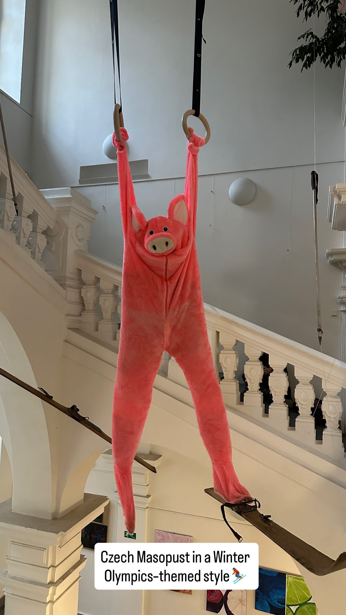 новая фото в сторис @zen.life.yoga 08.02.2026