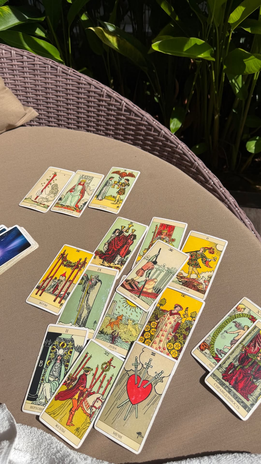 новая фото в сторис @alleksasa 08.02.2026