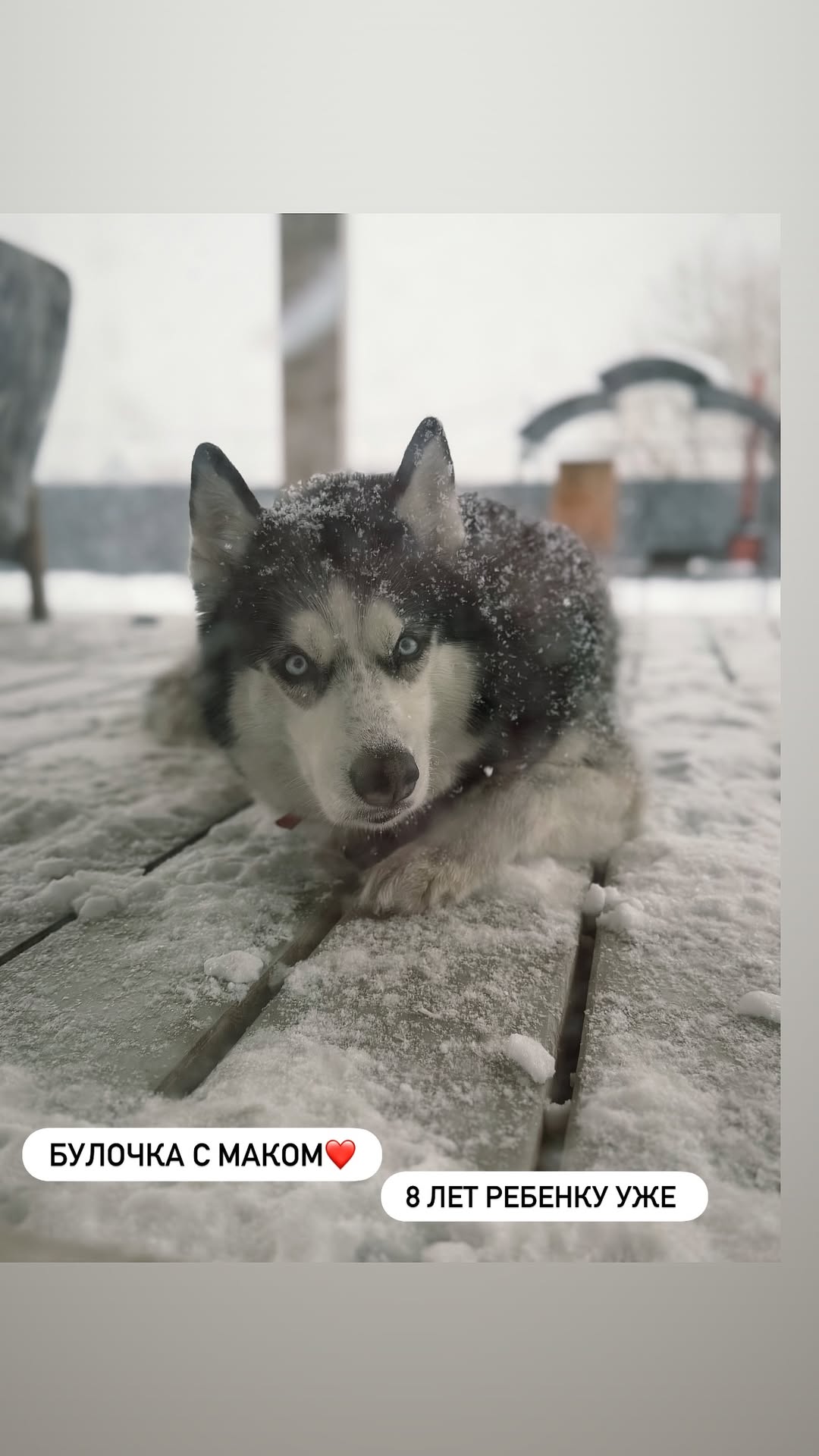 новая фото в сторис @zaykina_katrin 08.02.2026