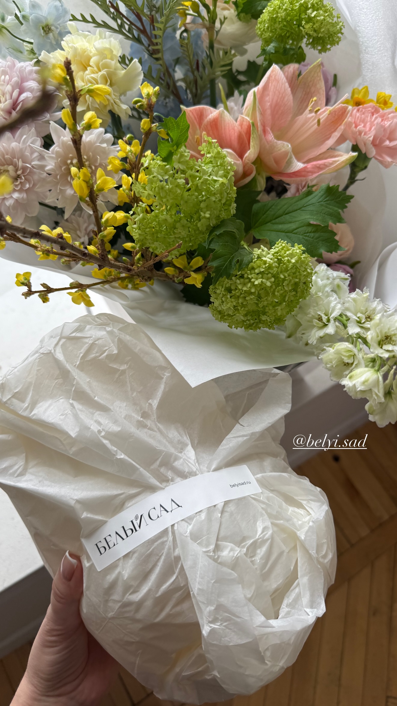 новая фото в сторис @anya_m029 09.02.2026