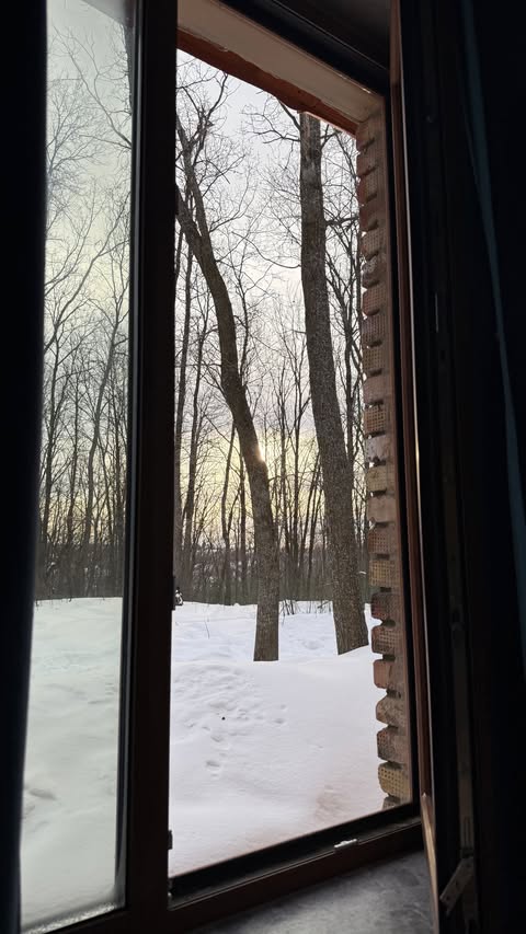 новая фото в сторис @lolasalye27 08.02.2026