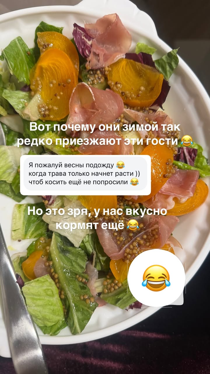 новая фото в сторис @karpuhina_doma 08.02.2026