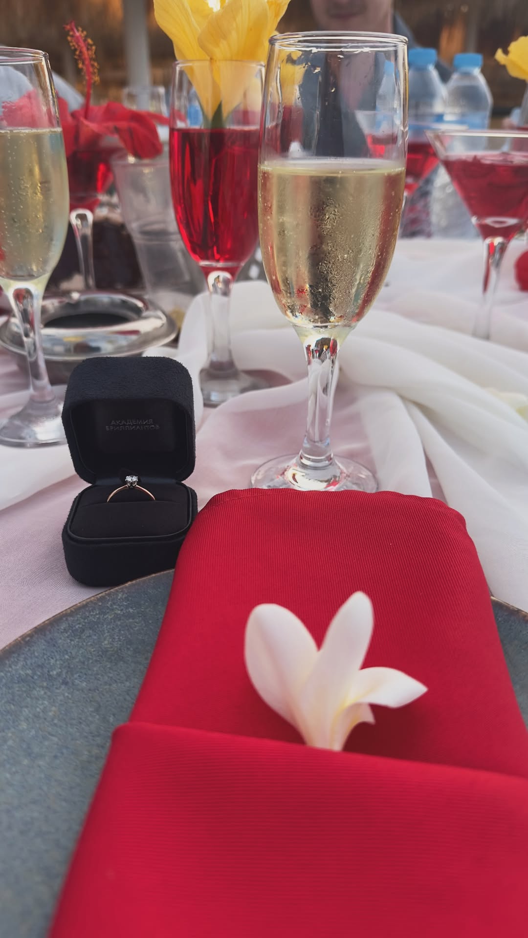 новая фото в сторис @shvetsova.katerinaa 08.02.2026