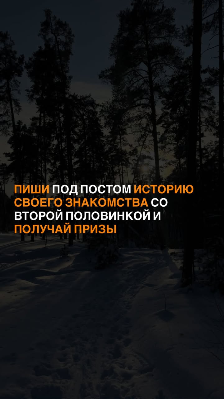 новая фото в сторис @daria_kars_photo 08.02.2026