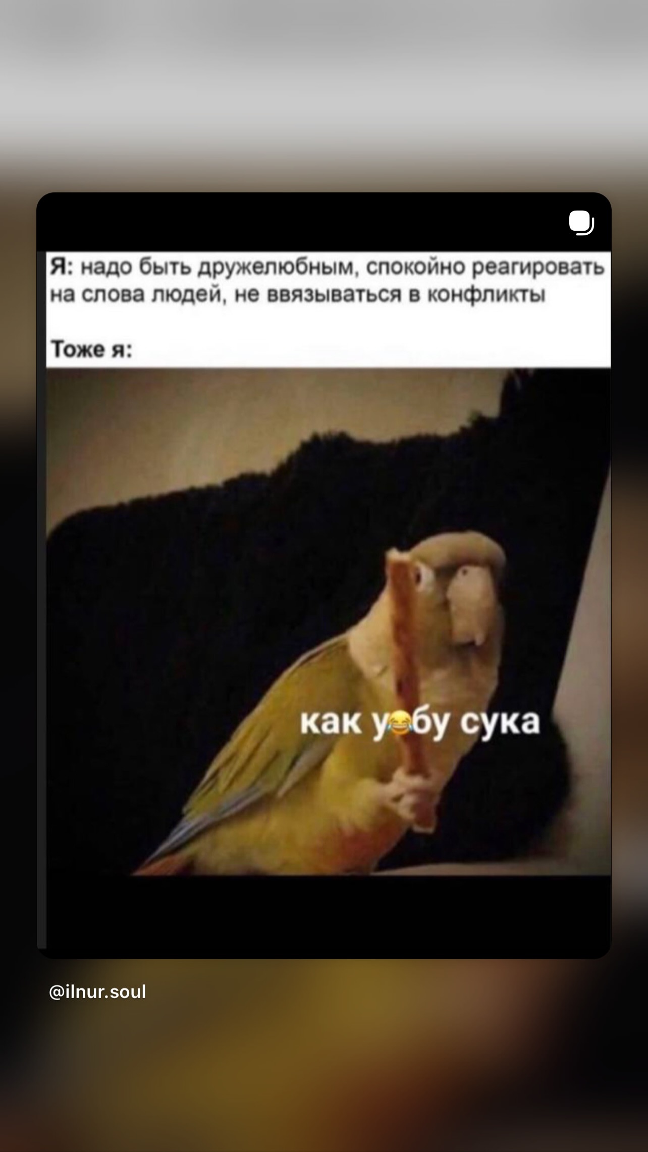 новая фото в сторис @julimih 09.02.2026