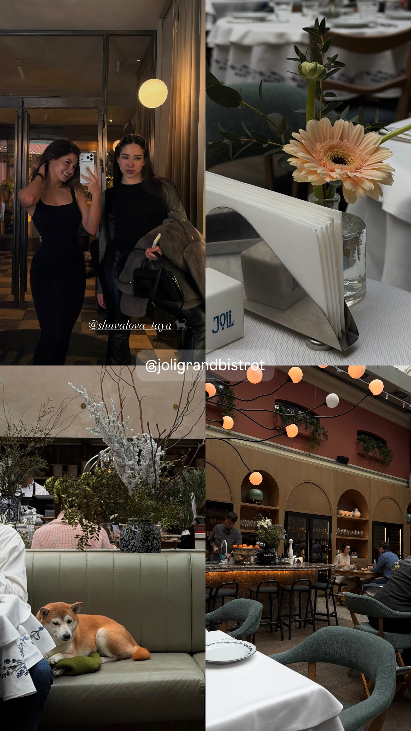 новая фото в сторис @sophienergyy 09.02.2026