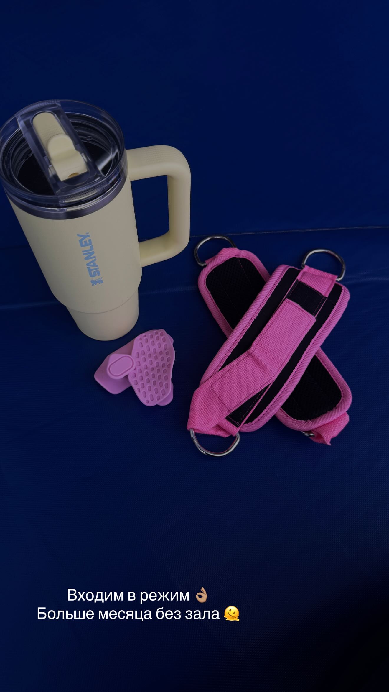 новая фото в сторис @alisha_yellow 09.02.2026