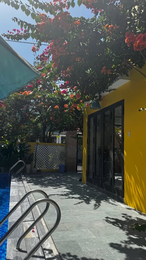 новая фото в сторис @an_pril 10.02.2026