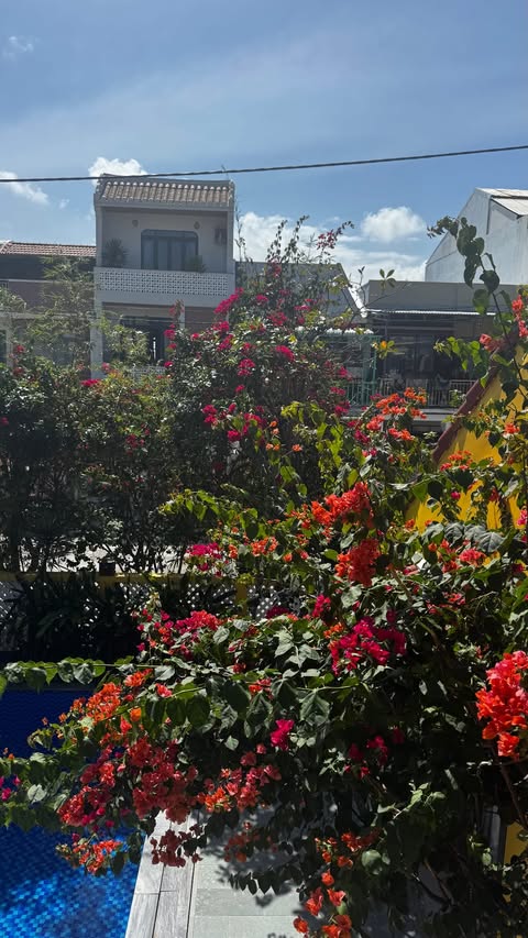 новая фото в сторис @an_pril 10.02.2026